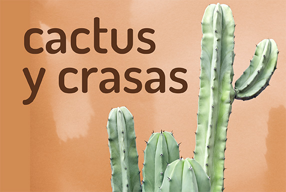 Cactus y Crasas Cactus y Crasas