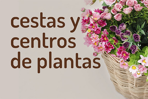 Cestas y Centros de Plantas Cestas y Centros de Plantas